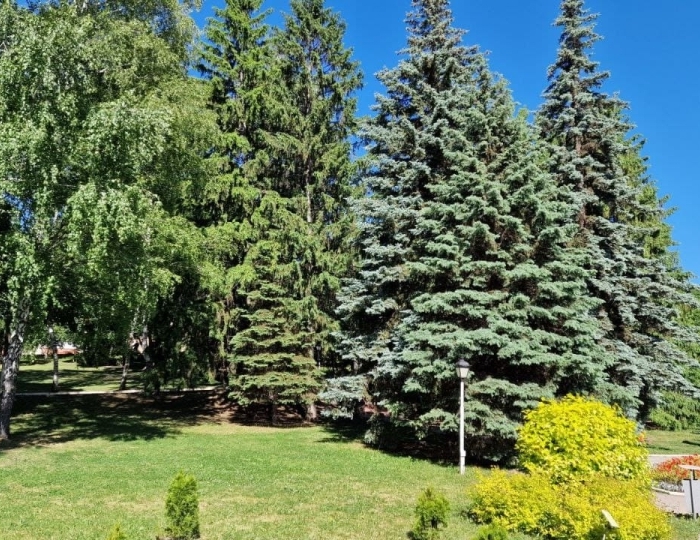 «Клинический санаторий им. Горького» Воронеж